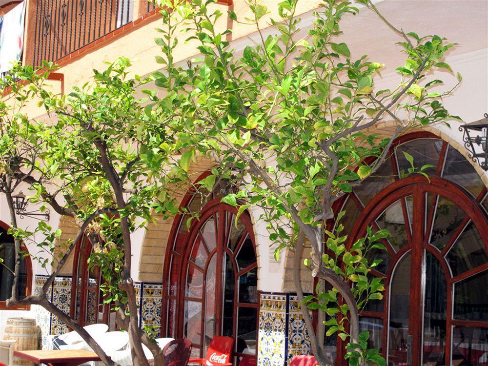 Hotel Comarruga Platja Екстер'єр фото